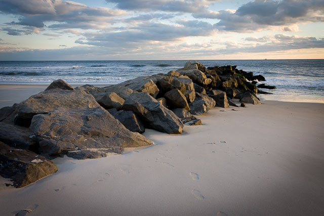 Portfolio Image