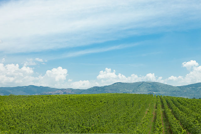 Portfolio Image
