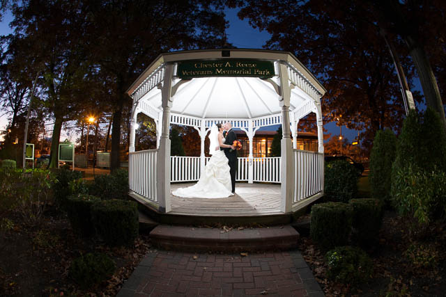 Portfolio Image